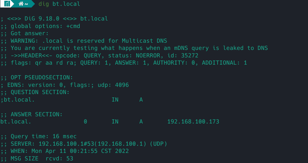 dig bt.local解析正常
