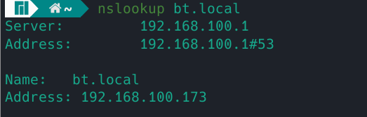 nslookup bt.local解析正常